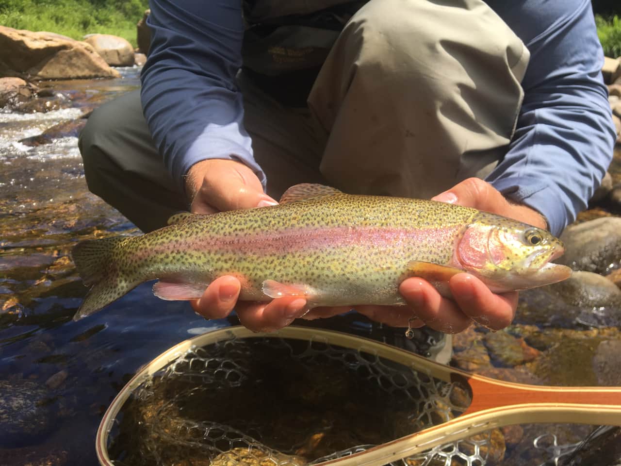 Freestone Guide Service