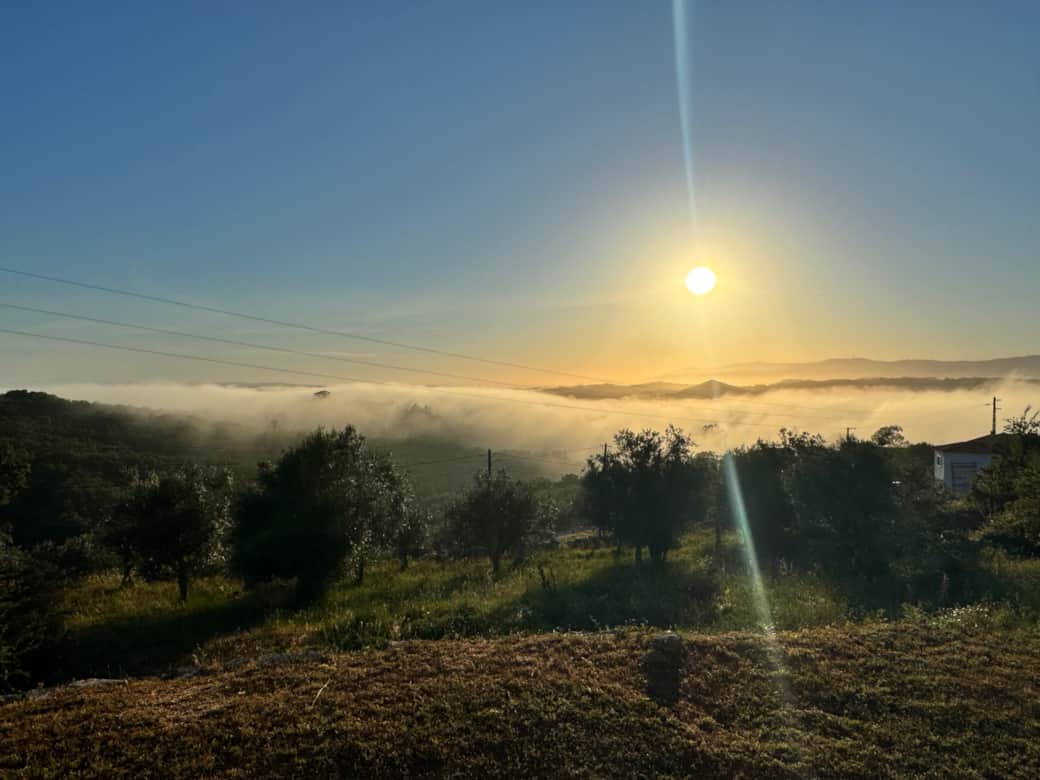 Sunrise View