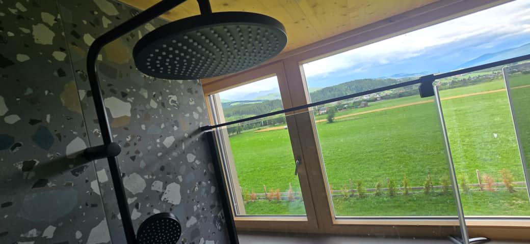 Walk-in shower with mountain views