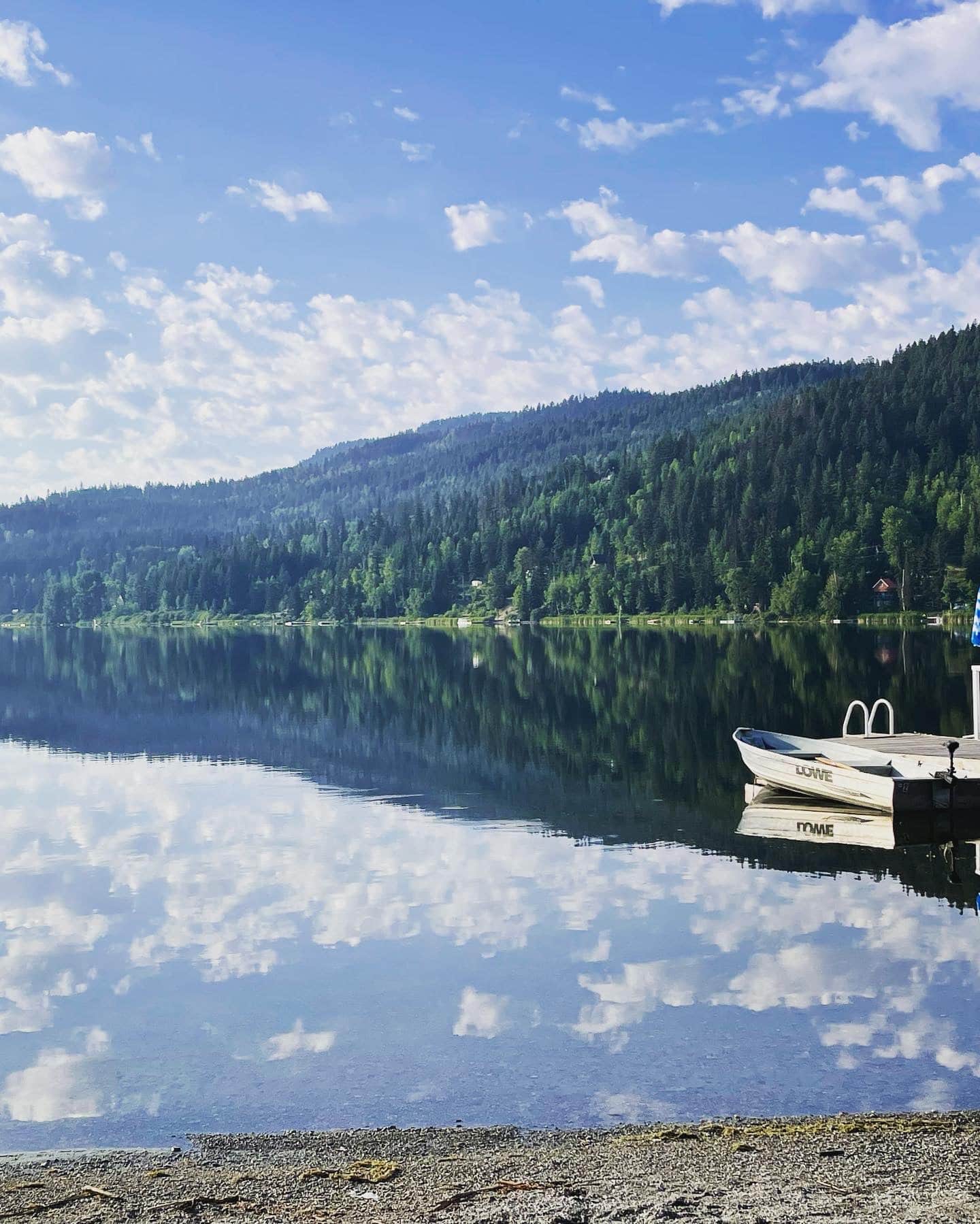 THE LAKE