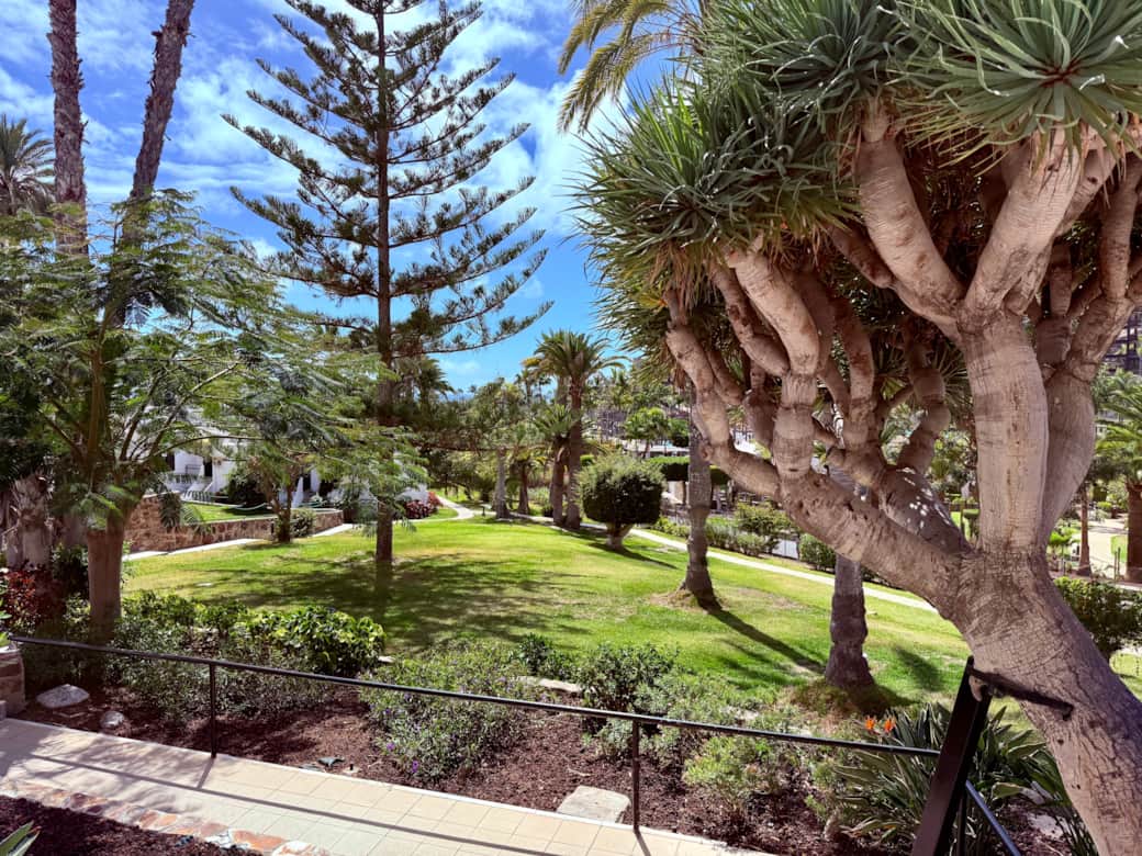 garden grounds