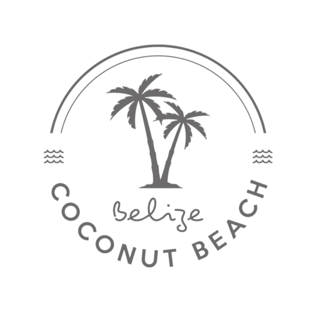 Coconut Beach Rentals