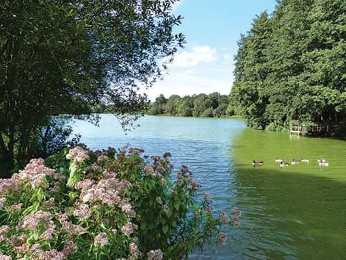 Lackford Lakes