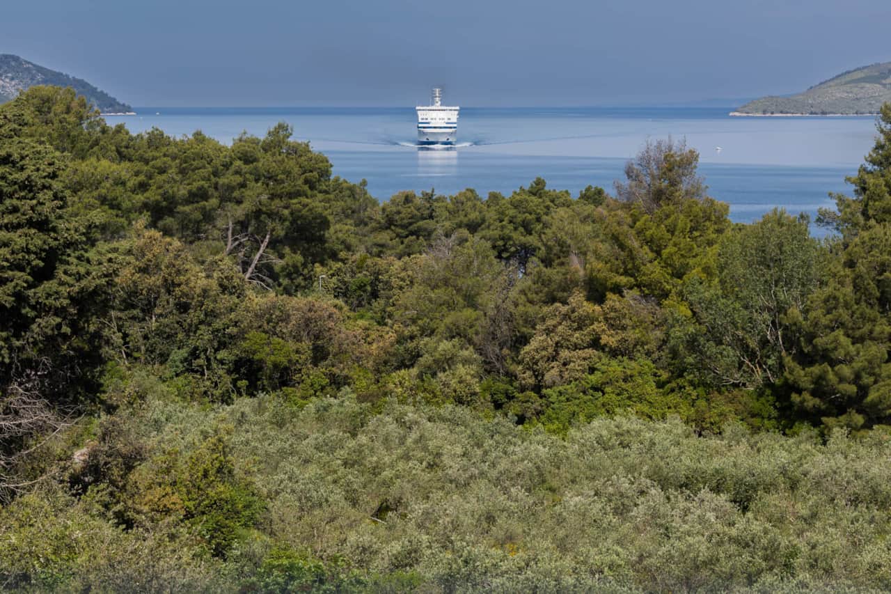 Arrival of the ferry from Split@ Stari Grad-77.jpg