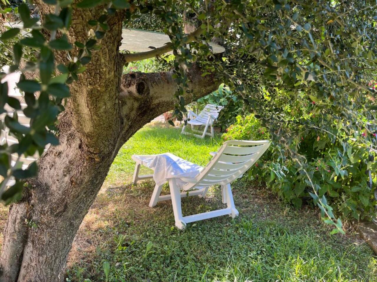 Giardino con lettini prendisole