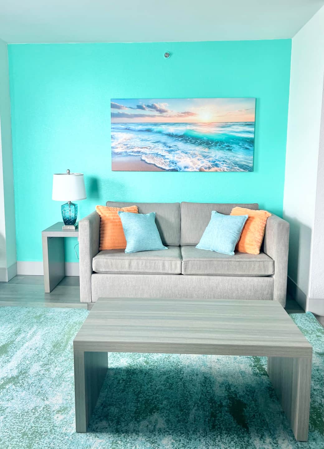 Sofa bed in living room (full mattress) 