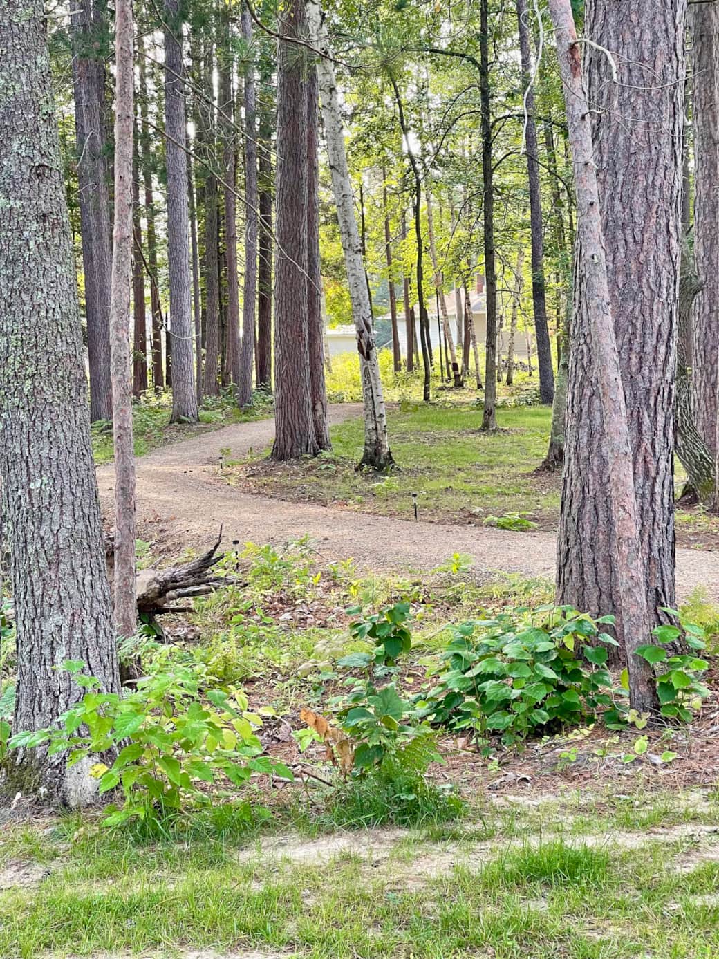 BDB553A1 E870 495A 8CA2 42C85948882E2024 08 24 08 42 19 320