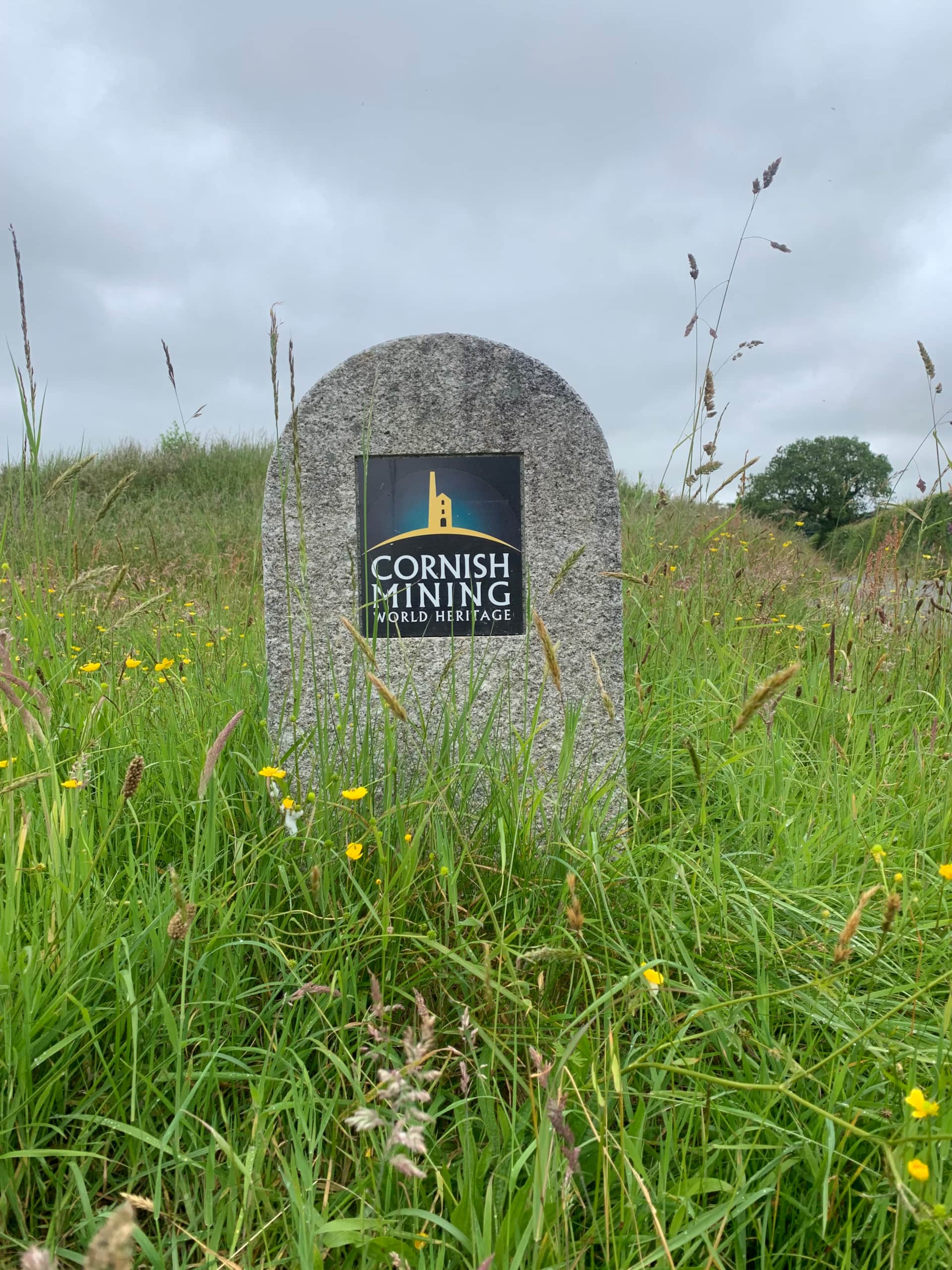Bodmin Moor Mining Heritage