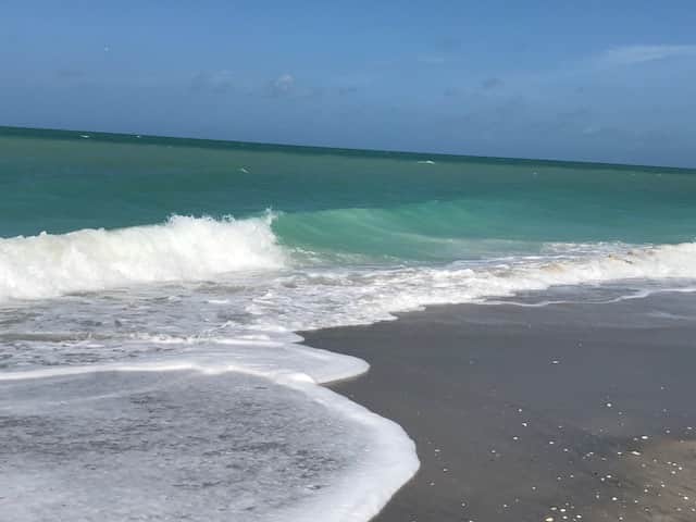 Beach View Out Front