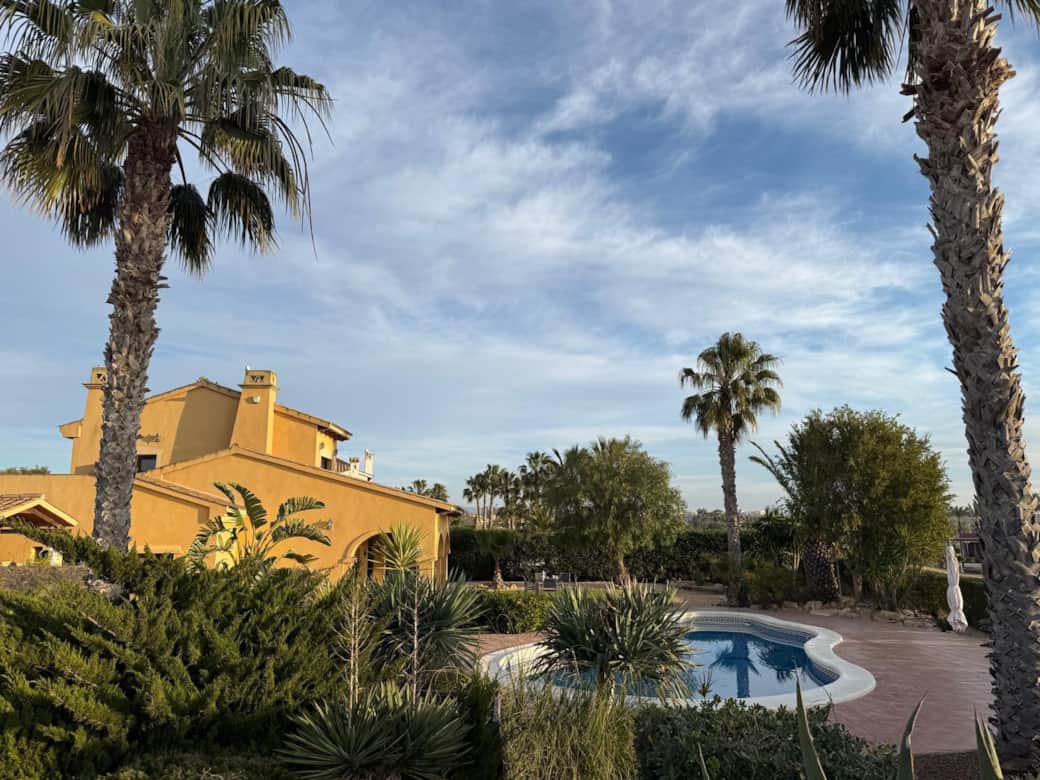 View on the pool from the garden