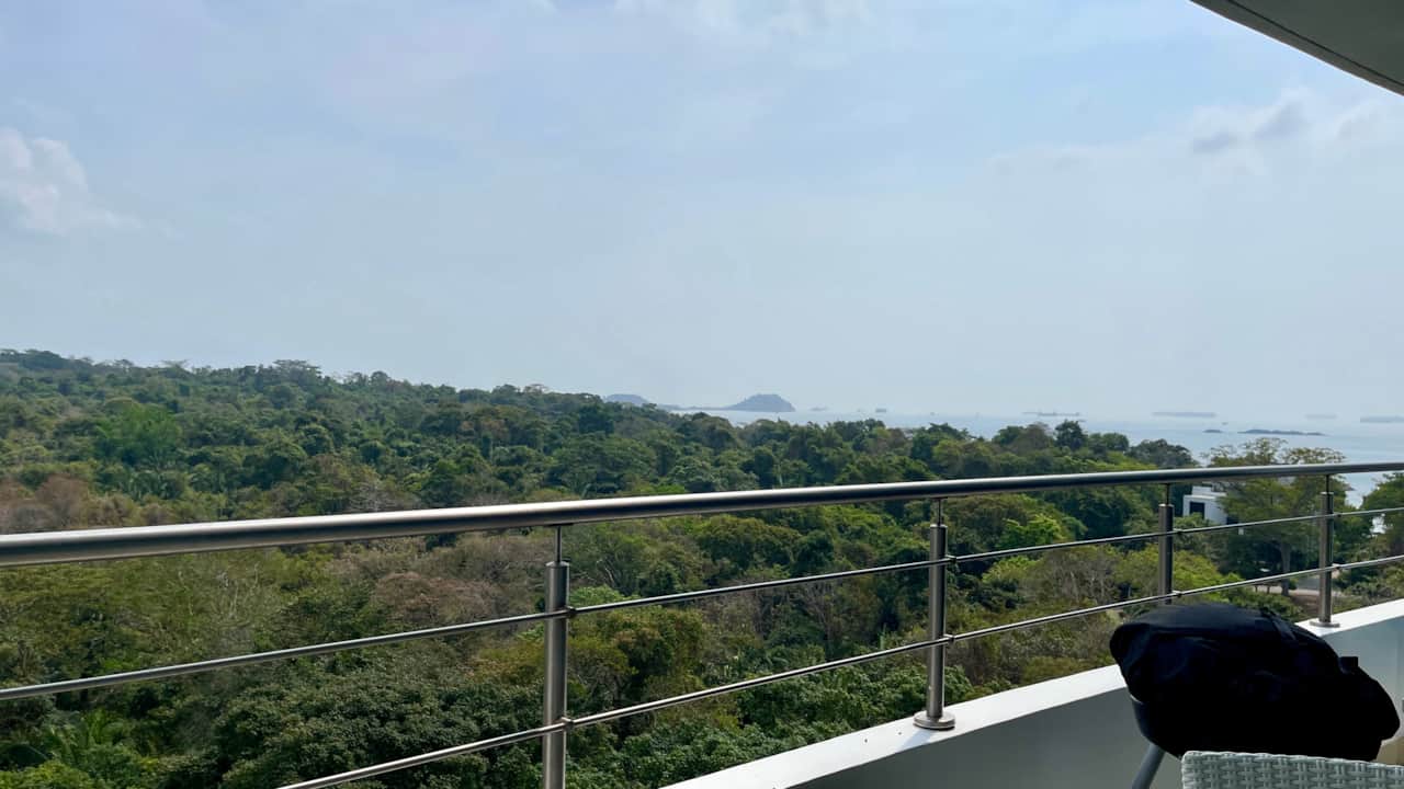 Jungle Ocean View