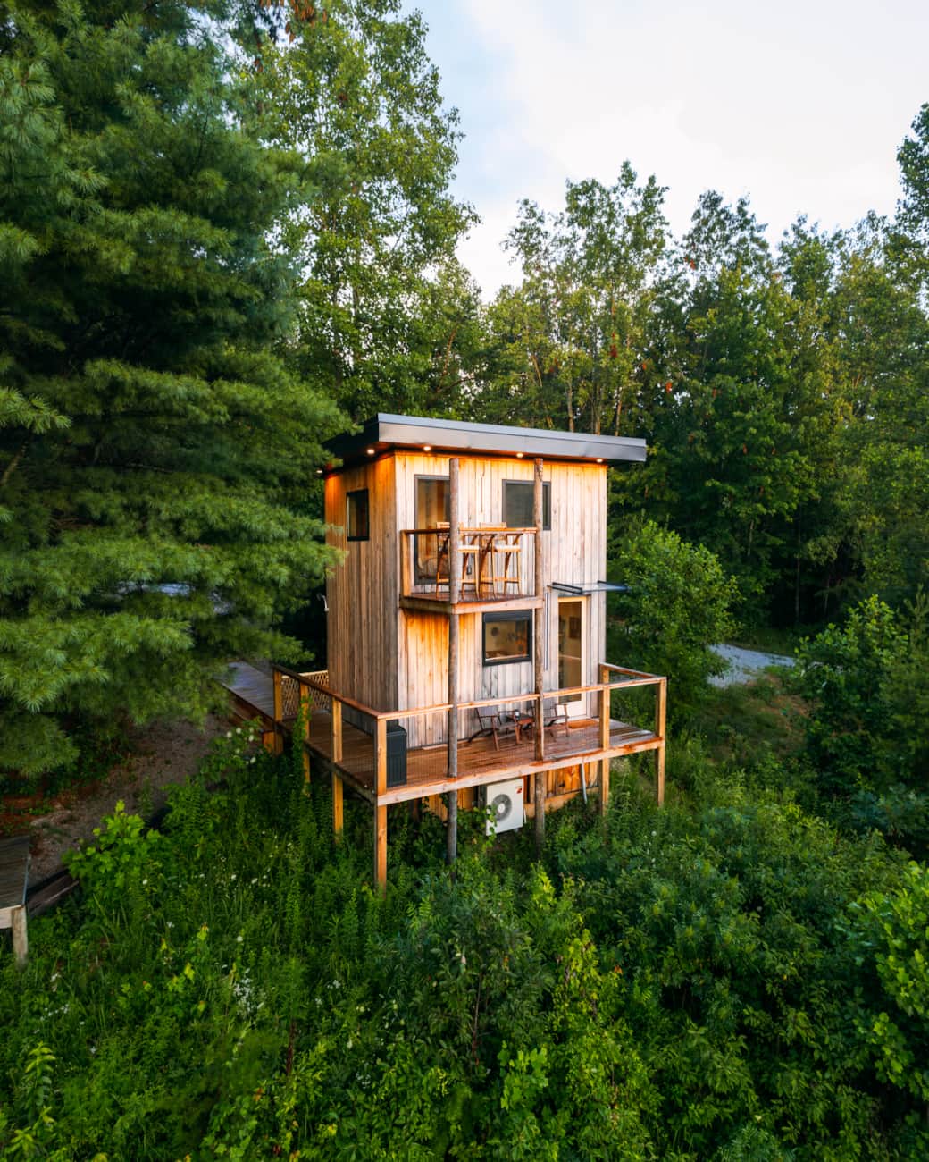 The Fern Cabin