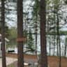 Rental image