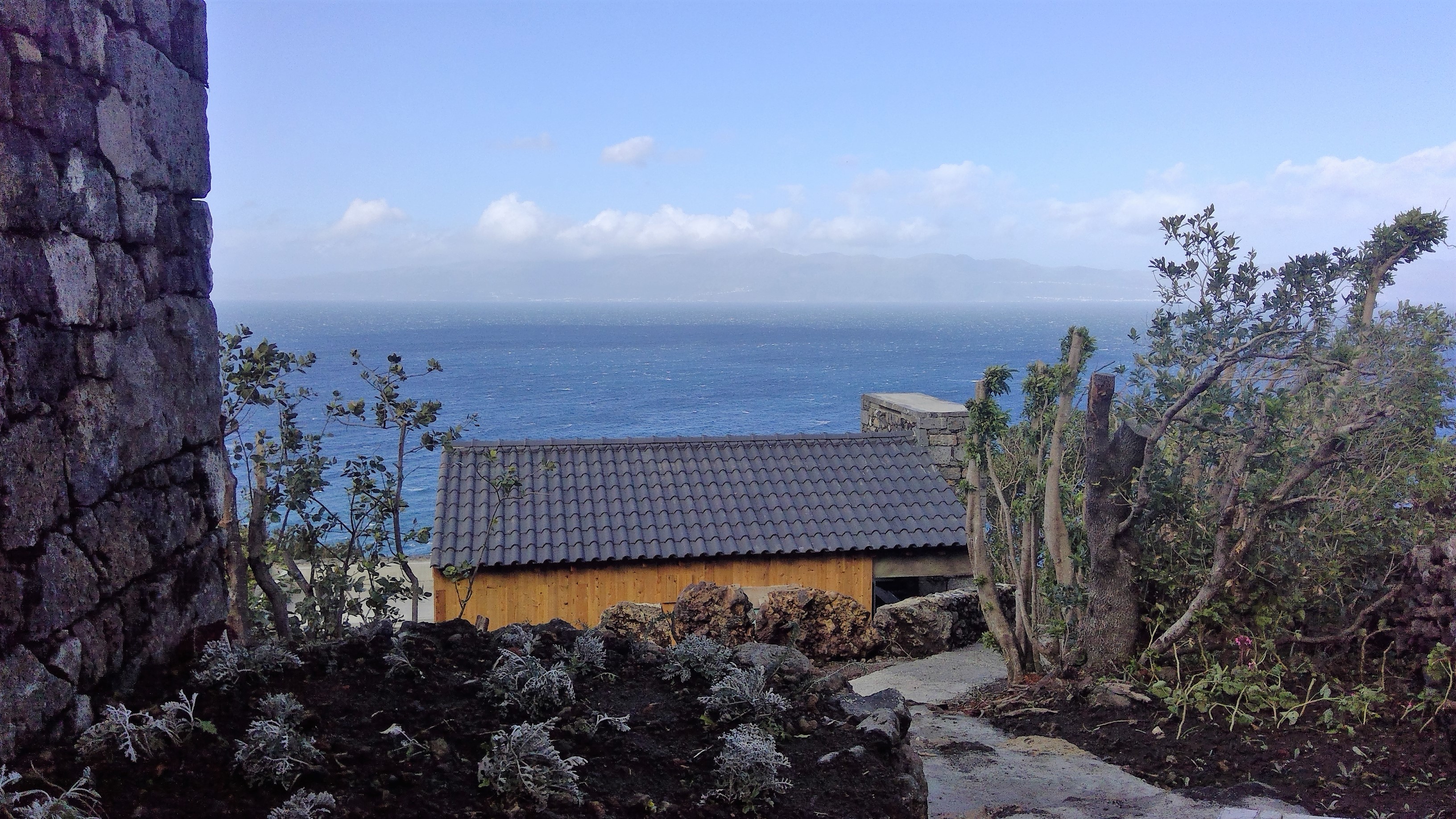 Vista traseira / Back view