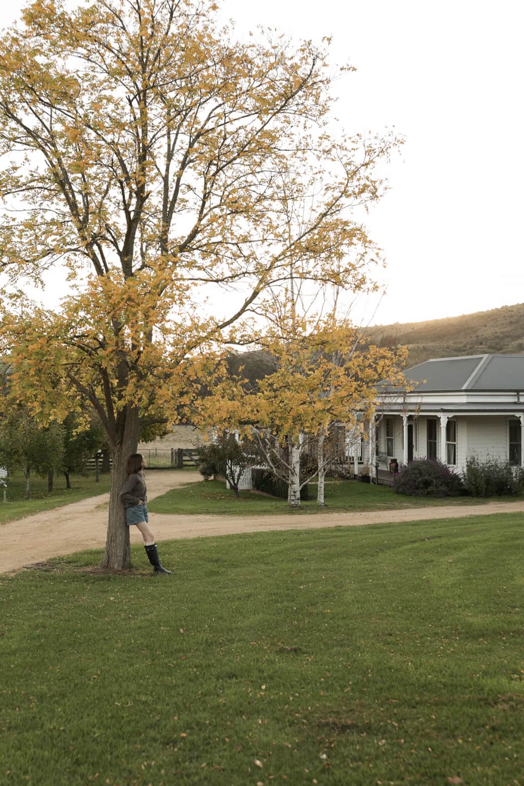 Dufflebird Farm fruit trees and farmland, Berrys Creek VIC, two hours or less from Melbourne Dufflebird Farm fruit trees and farmland, Berrys Creek VIC, two hours or less from Melbourne