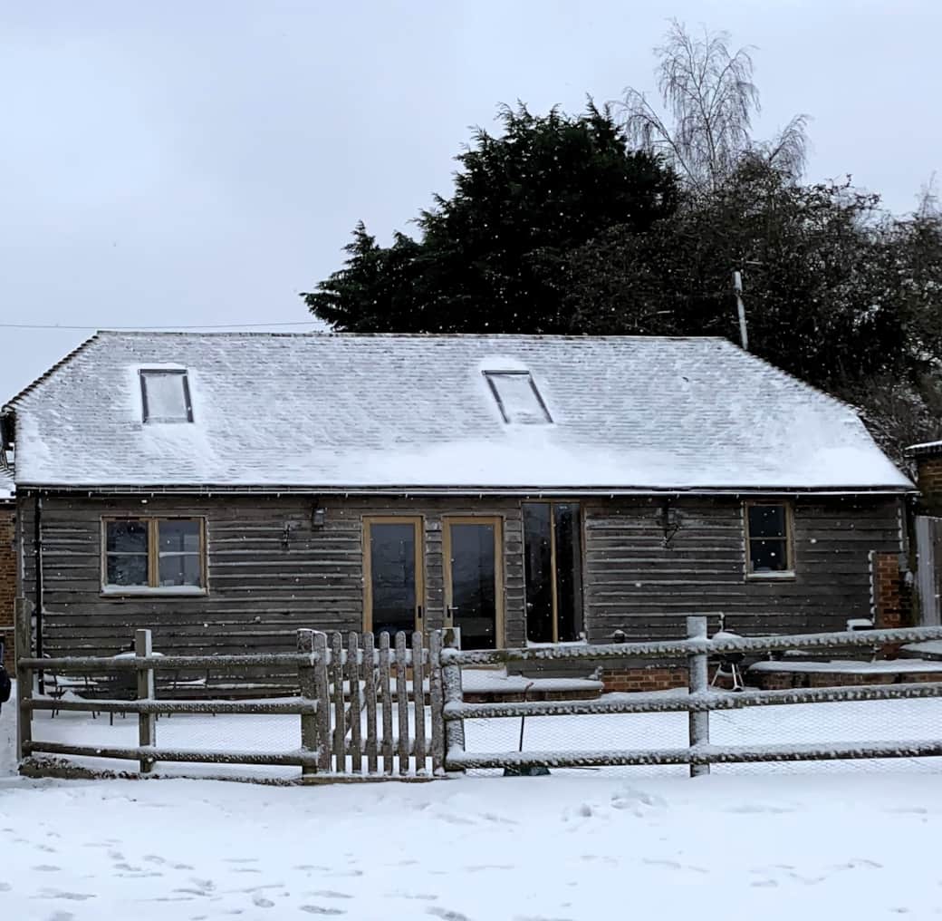 Back garden in Winter
