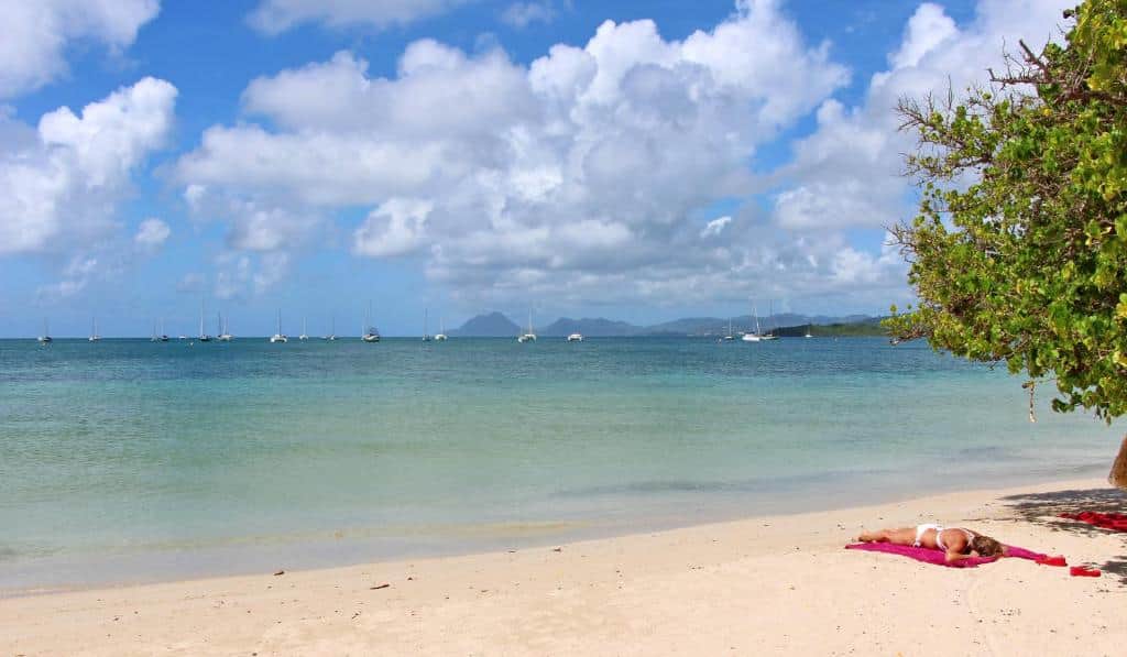 vue Plage de la Pointe - Marin 3