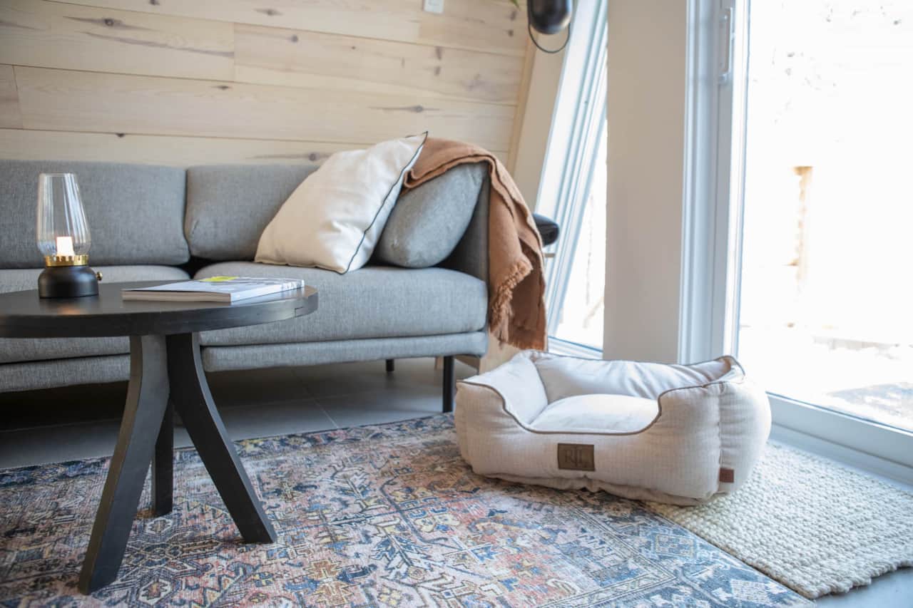 Dog bed. Photo credit: @northparkfilms⁠