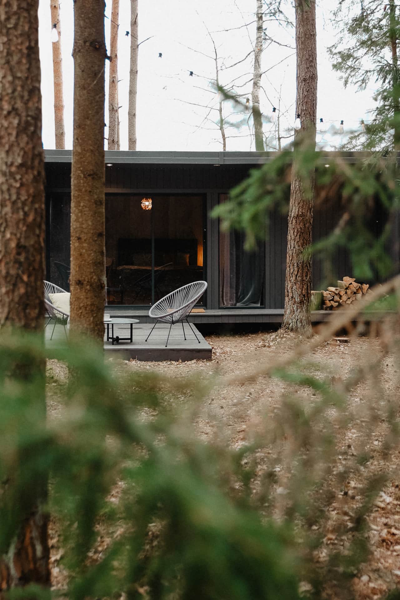 Forest therapy - a cottage under a pine tree