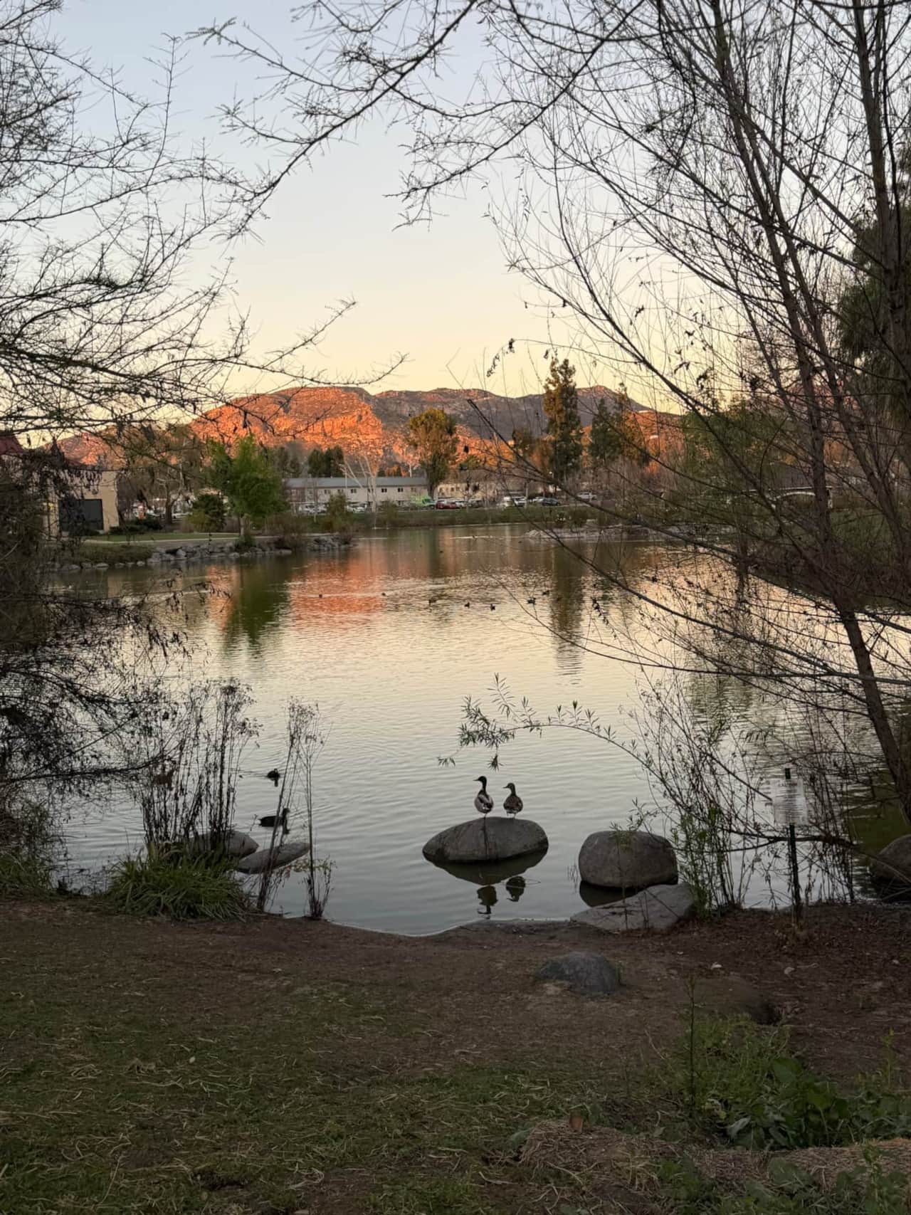Surrounded by San Diego's Beautiful mountains