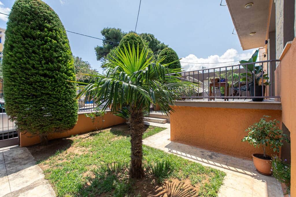 The garden