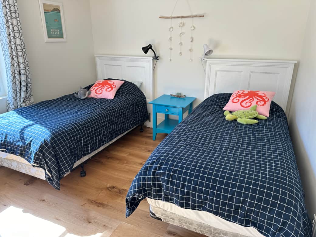 Kids bedroom with twins
