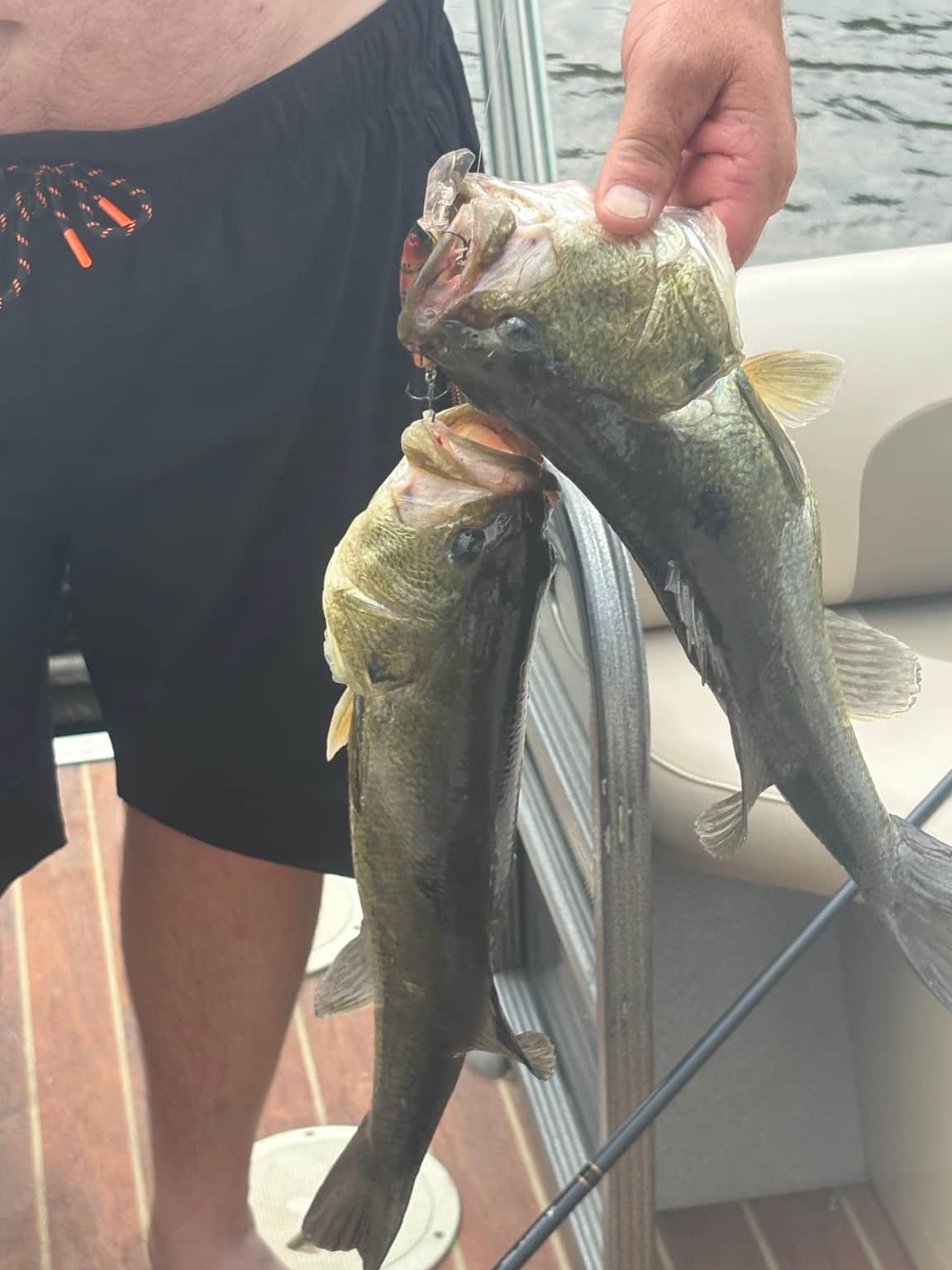 Cast a Line