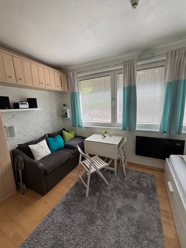 Alpin Studio mit Sauna und Pool 3