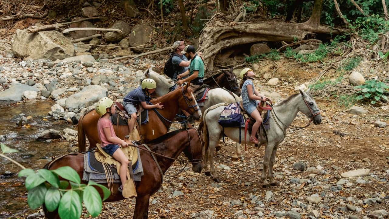 HorseBack Riding Manuel Antonio