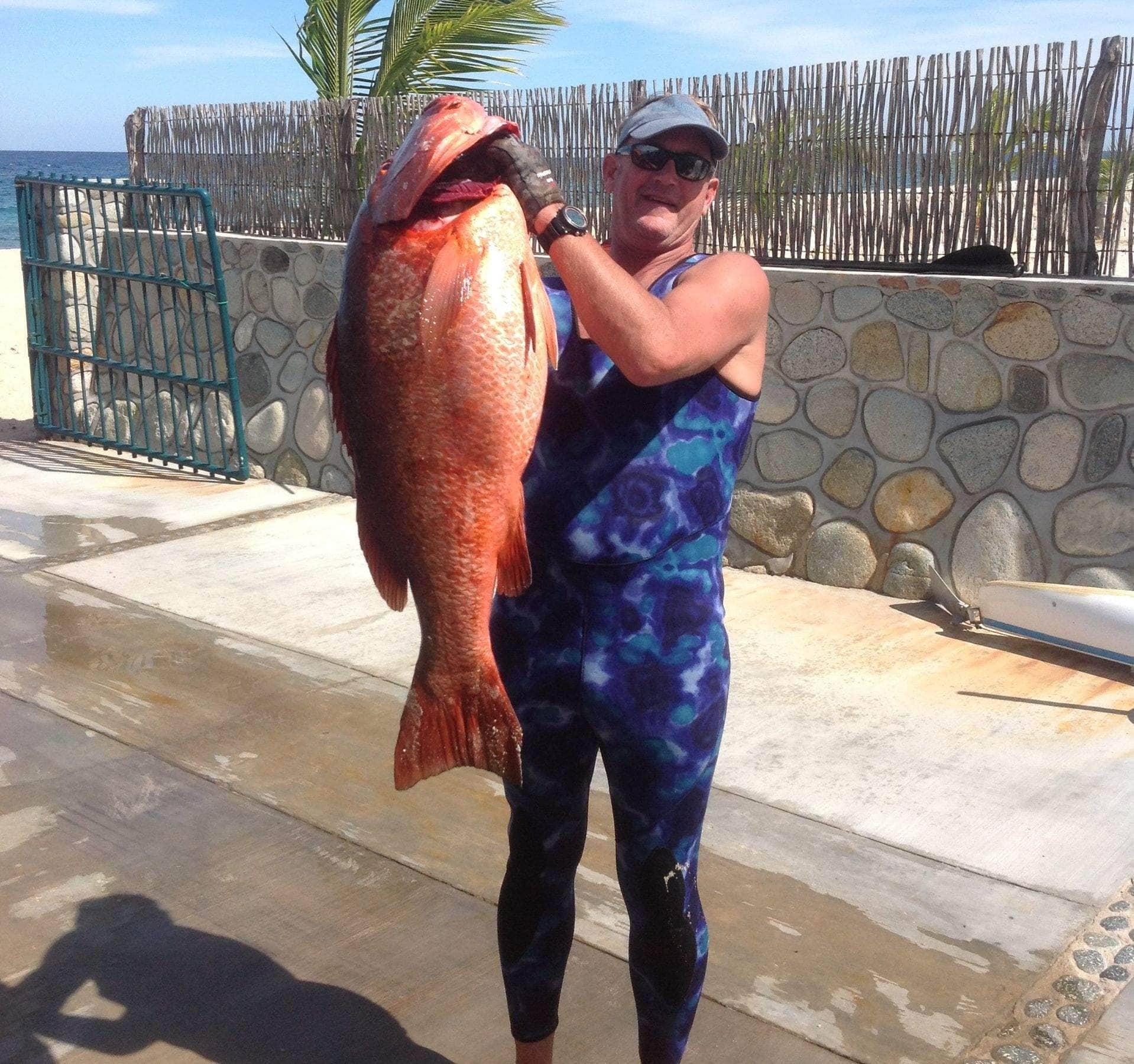 Pargo - Freediving with Mino