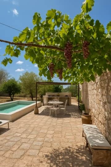 5BAA0B0F BC9A 400D 96FD 092A94F47D97 4 5005 c 5BAA0B0F BC9A 400D 96FD 092A94F47D97 4 5005 c