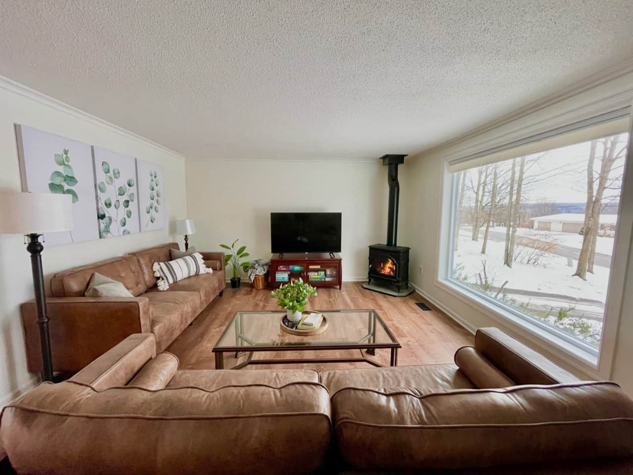 Living room with TV, fireplace, and picture window.