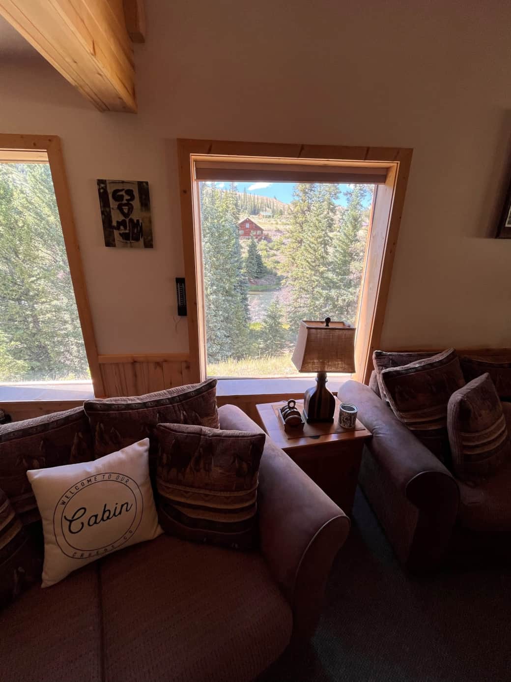 Living room window
