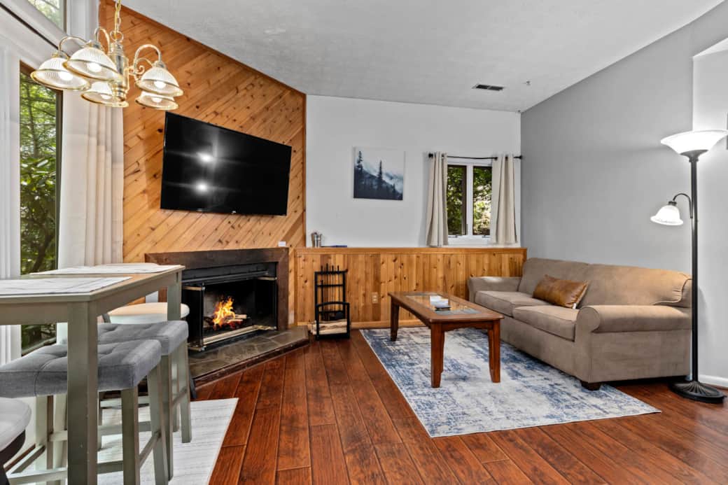 Living Room - Angle 1