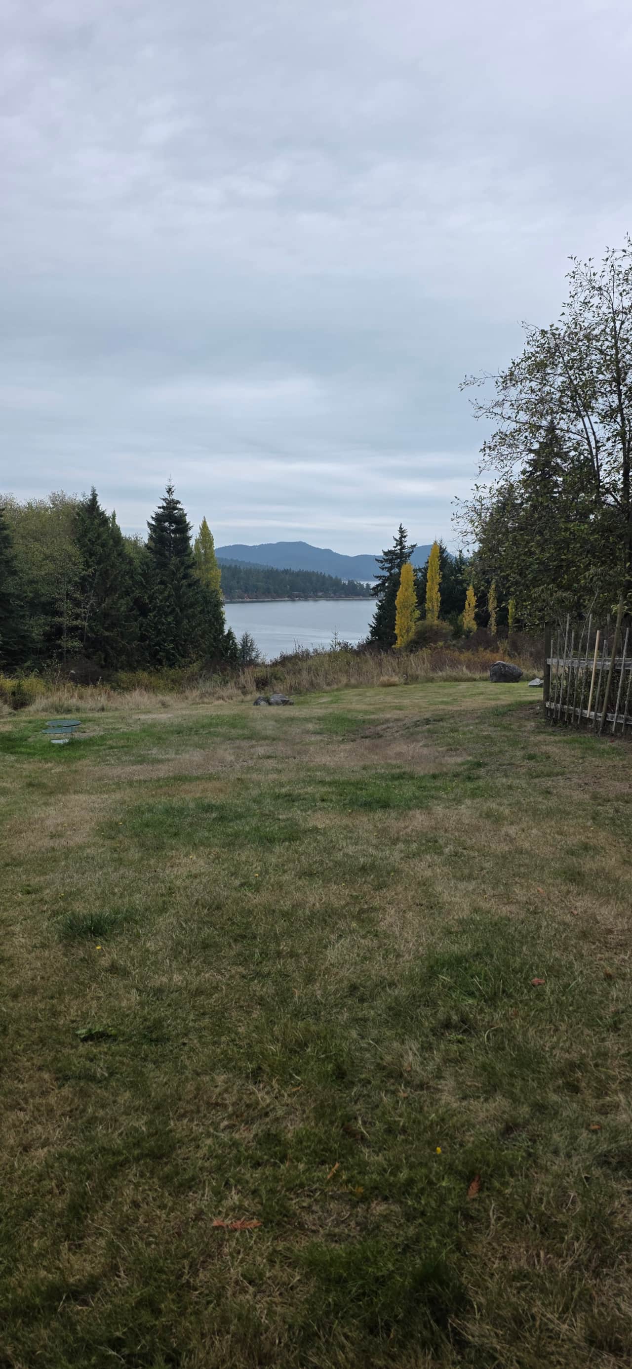 view from yard-10:1:26