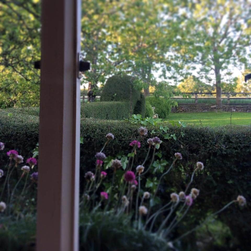 View from bedroom window onto garden