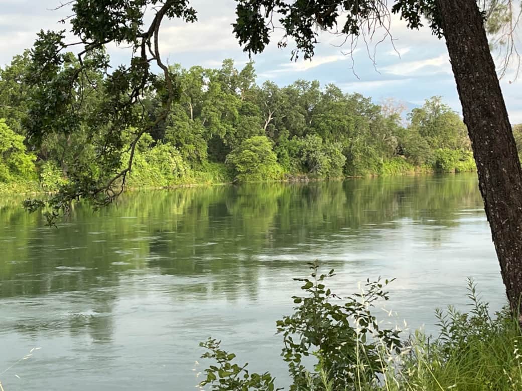 River view from backyard