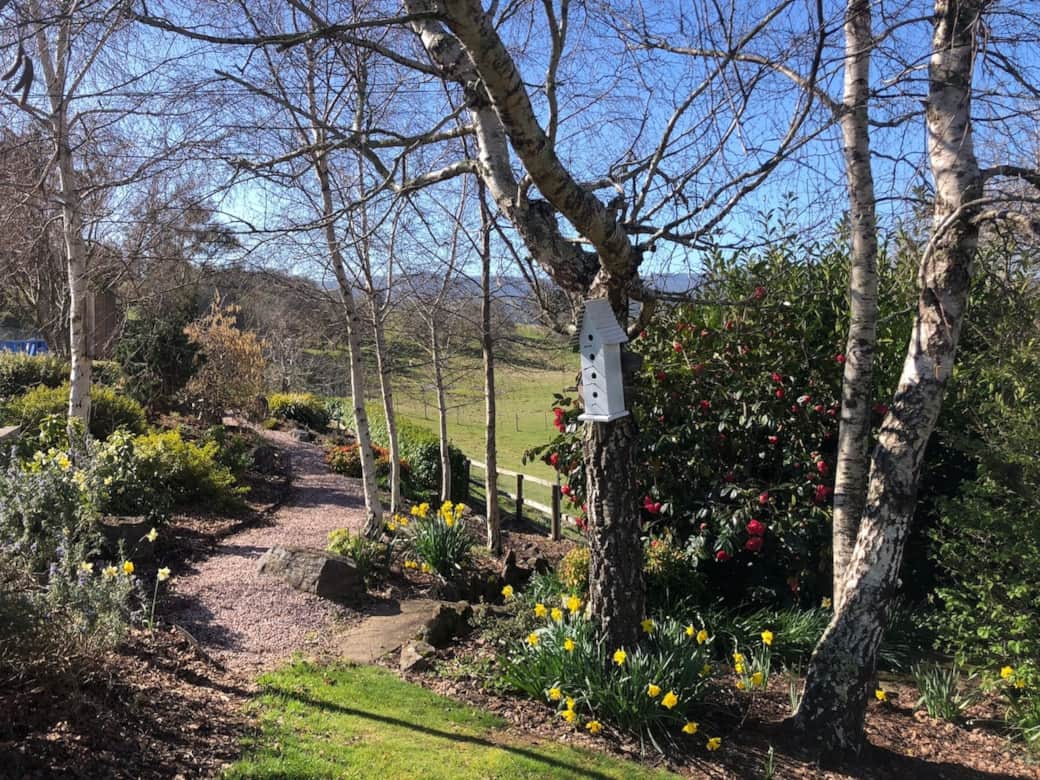 Spring in the gardens