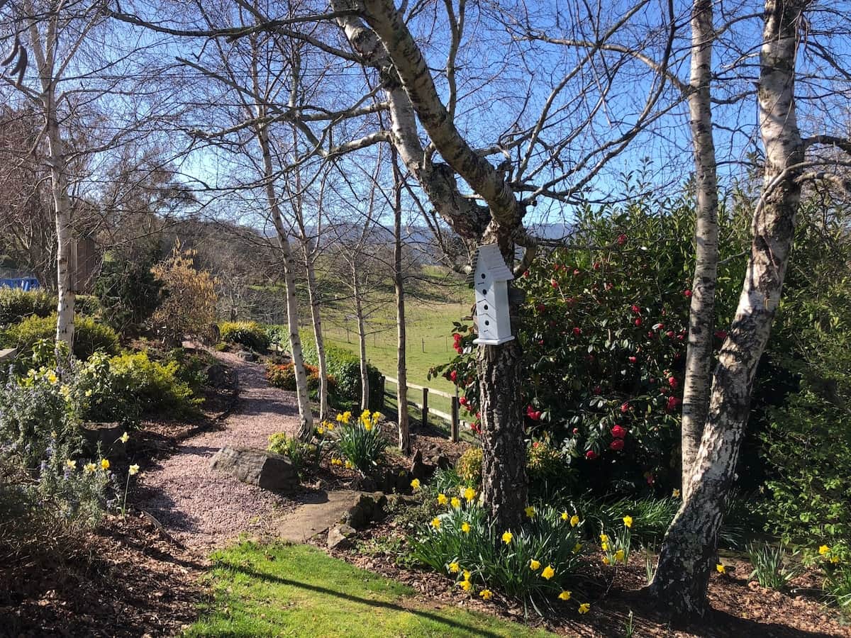 Spring in the gardens