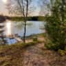Rental image