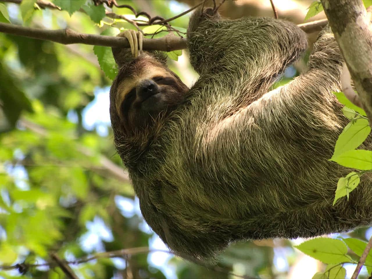 Manuel Antonio National Park