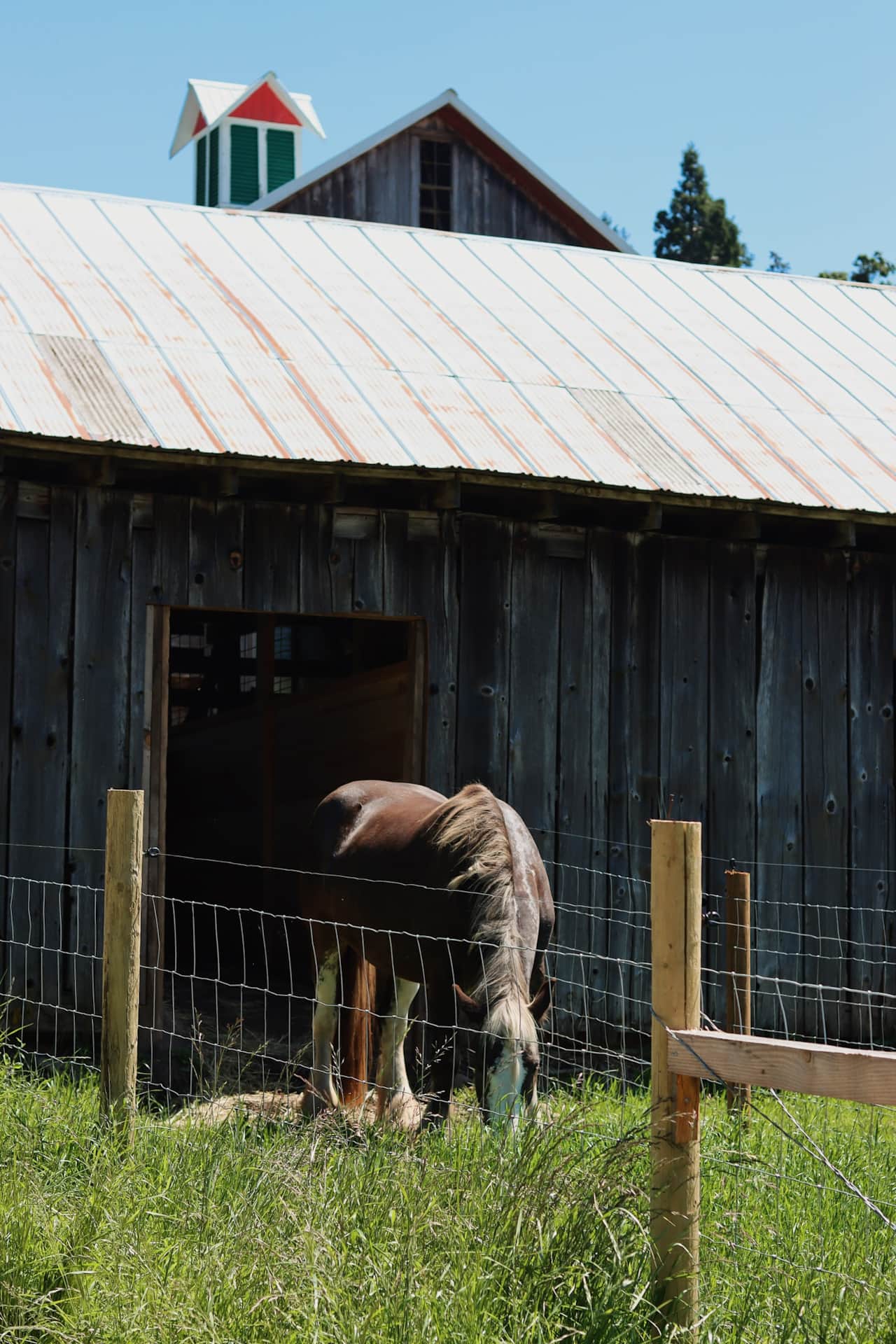 Stall with Run