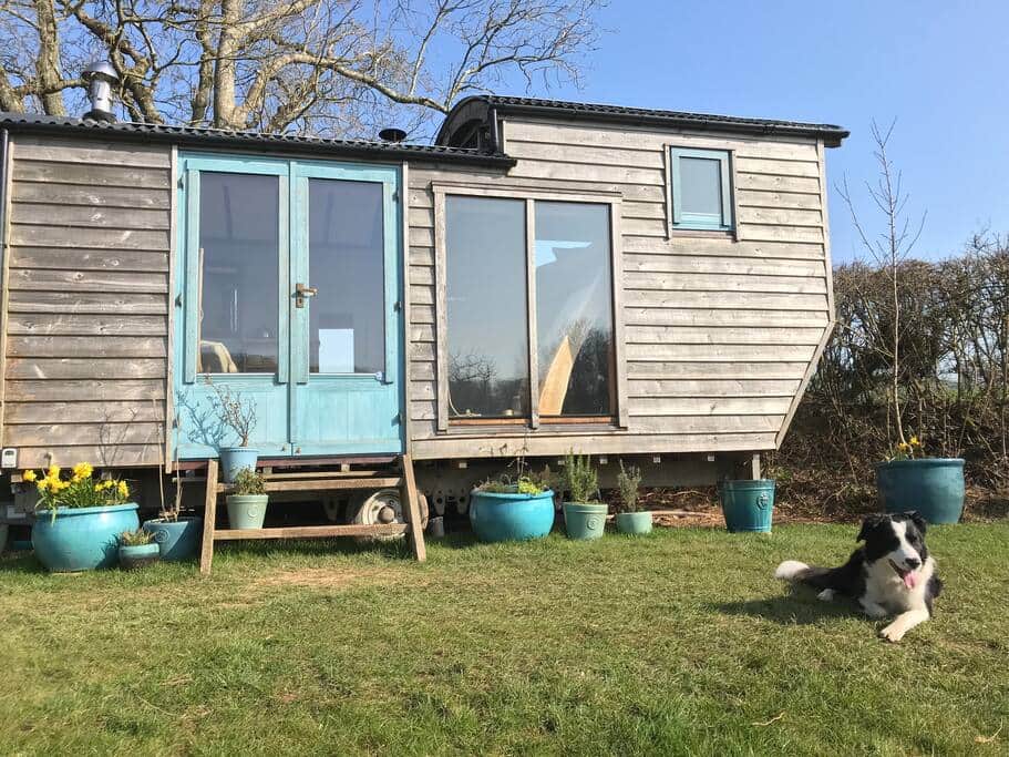Well behaved dogs are welcome to stay take there owners on Holliday at my hut.