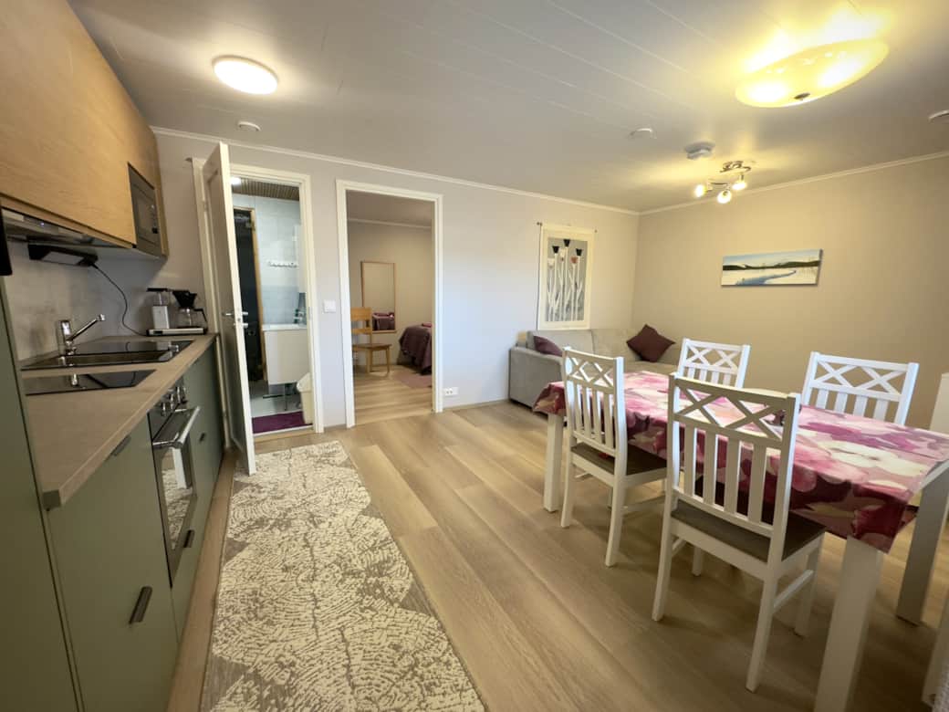 An apartment on the first floor with sauna, sofa, TV, dining area, and a well-equipped kitchen.