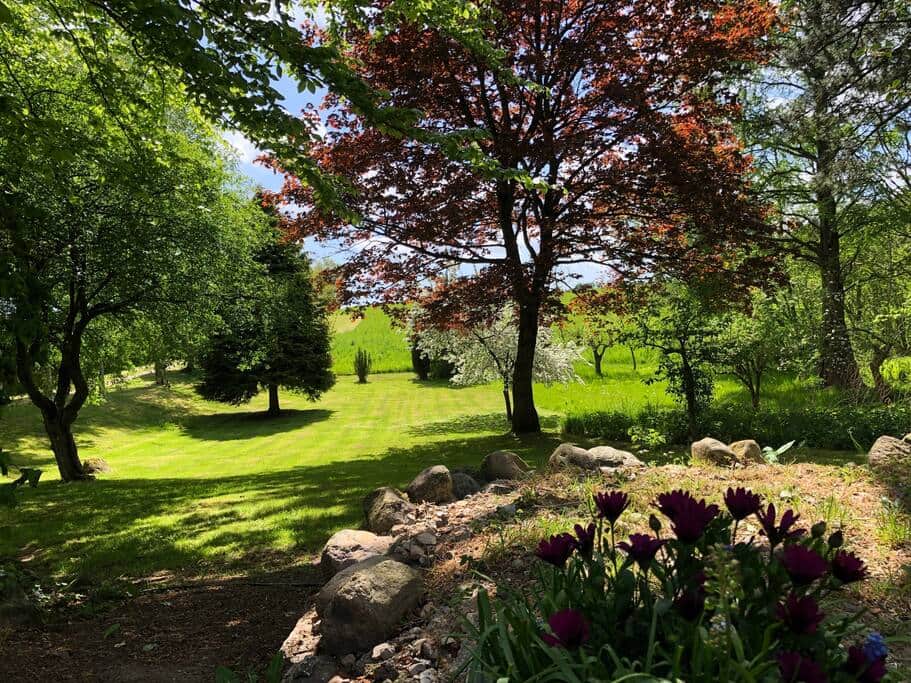 The garden closest to Dragon Wagon