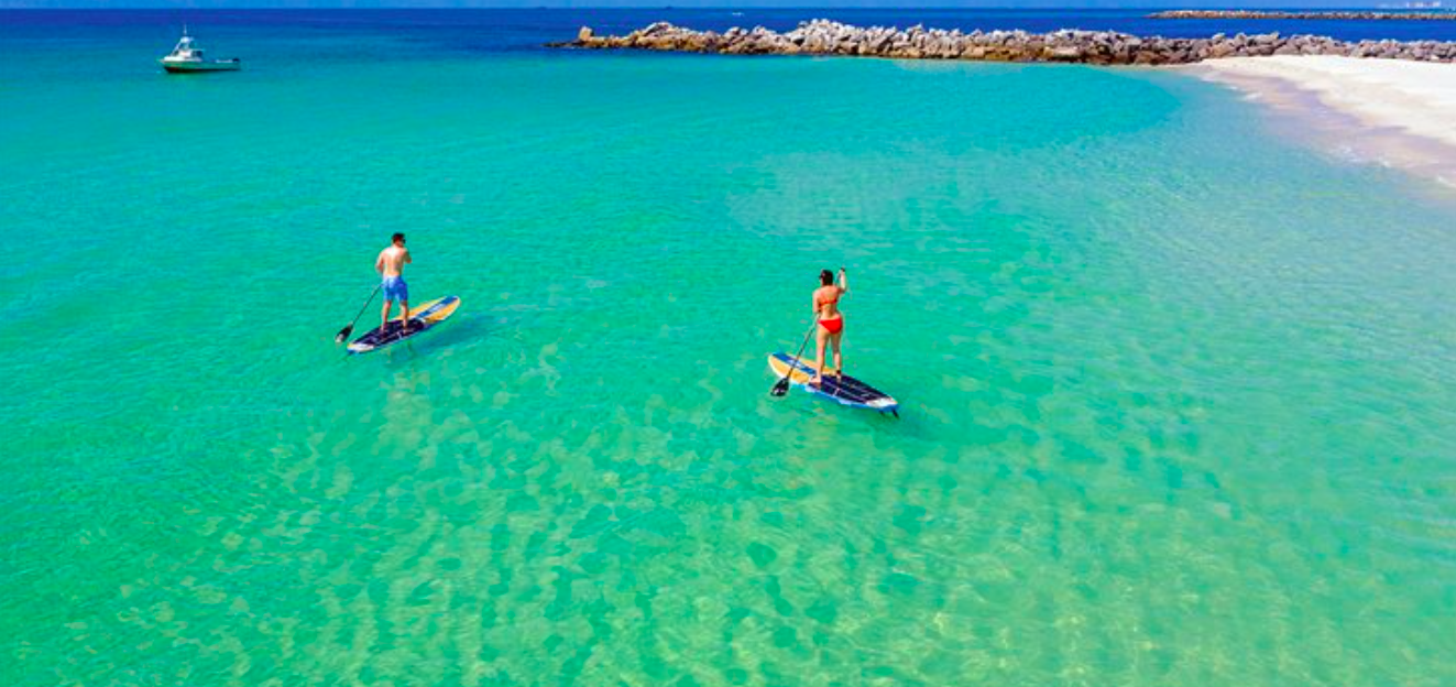 https://l.icdbcdn.com/oh/06af0665-474c-447a-afe7-7bc2e078d777.png?w=2080-1