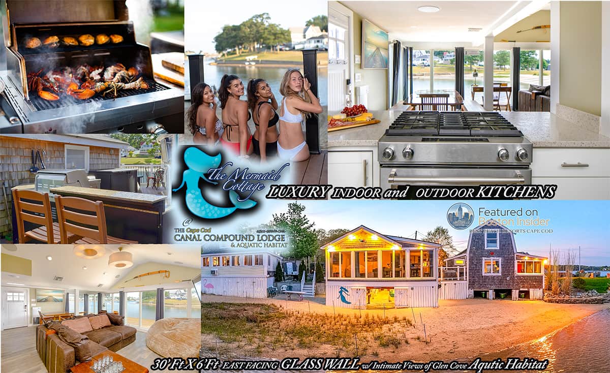 Indoor & Outdoor Kitchens w/ 30'ftX6'ft East Facing GLASS WALL w/ Intimate Views of Glen Cove