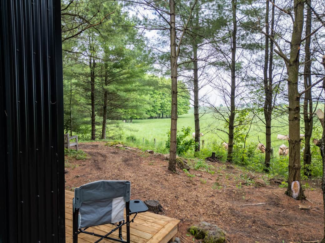 View from the Cabin