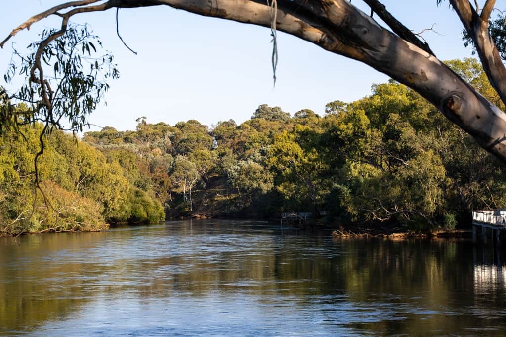 The Murray River
