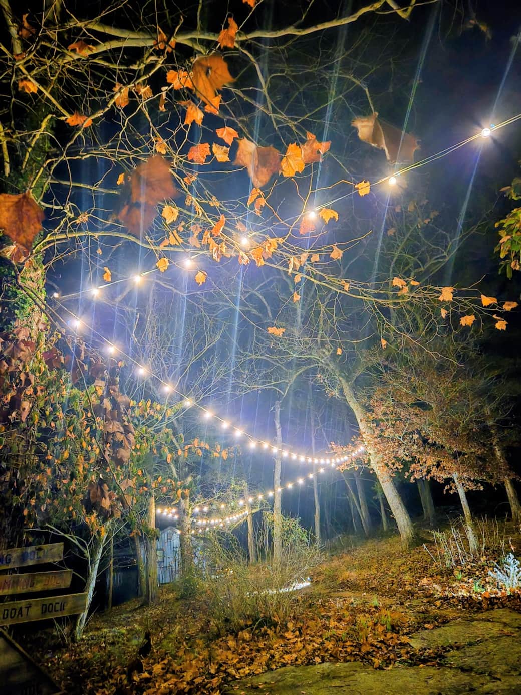 under the lights: short path to cabins